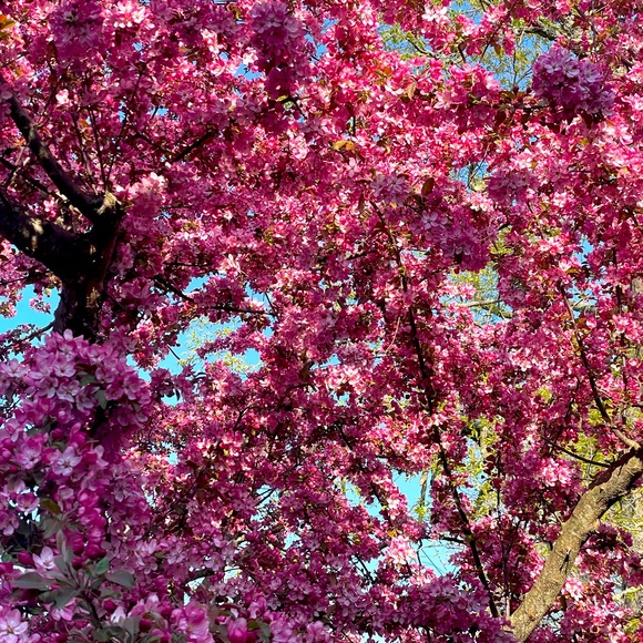 Meet your Posher, Emily - Picture 1 of 4